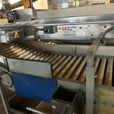 WhatsApp Image 2025-01-31 at 22.50.24 (11) - copia - copia