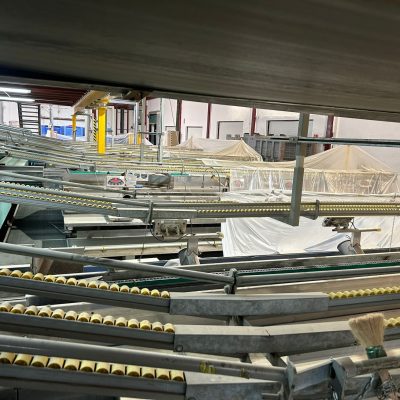 WhatsApp Image 2025-01-31 at 22.50.24 (4) - copia