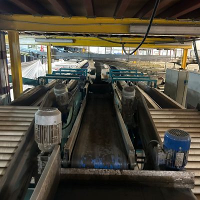 WhatsApp Image 2025-01-31 at 22.50.24 - copia