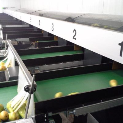 WhatsApp Image 2025-01-31 at 23.39.15 (3)