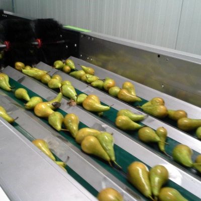 WhatsApp Image 2025-01-31 at 23.39.15 (4)