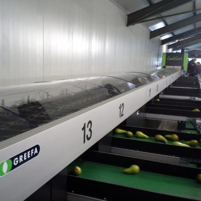 WhatsApp Image 2025-01-31 at 23.39.15 (5)