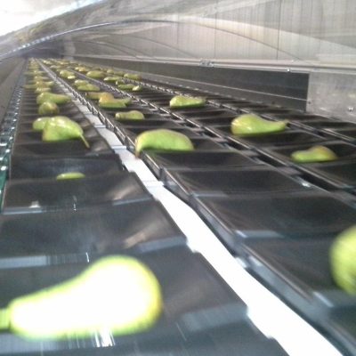 WhatsApp Image 2025-01-31 at 23.39.15 (6)