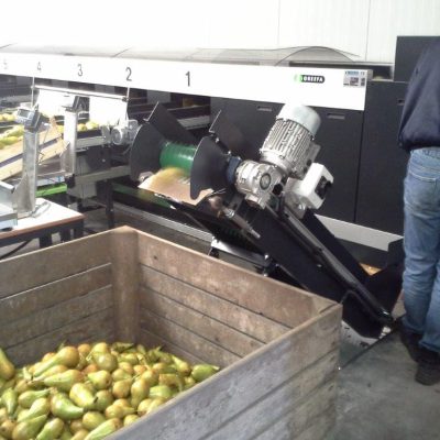 WhatsApp Image 2025-01-31 at 23.39.15