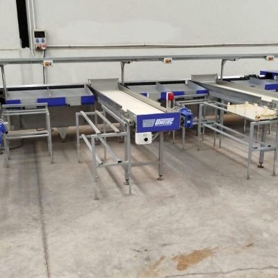 WhatsApp Image 2025-02-21 at 18.25.39 (2)