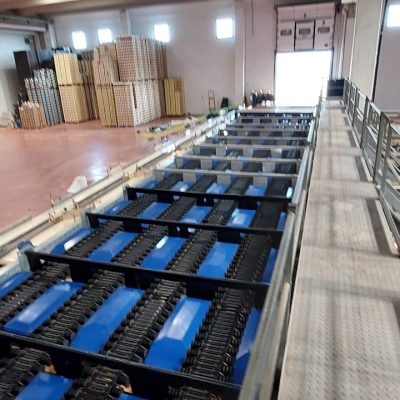 WhatsApp Image 2025-02-22 at 08.46.55