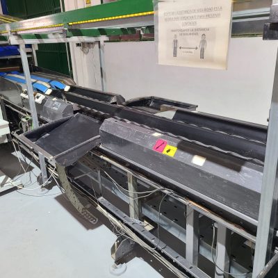 WhatsApp Image 2025-02-26 at 00.21.05 (1)