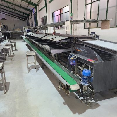 WhatsApp Image 2025-02-26 at 00.21.05