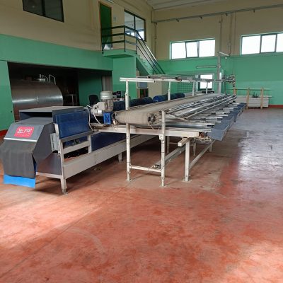 WhatsApp Image 2025-03-09 at 21.46.35 (2)