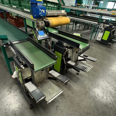 WhatsApp Image 2025-03-22 at 12.56.12