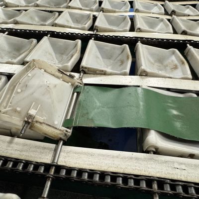 WhatsApp Image 2025-03-22 at 12.56.15 (1)