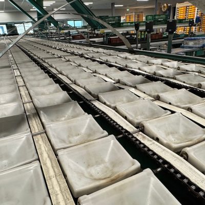 WhatsApp Image 2025-03-22 at 12.56.15 (3)