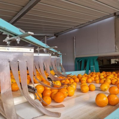 WhatsApp Image 2025-03-25 at 22.49.41 (5)