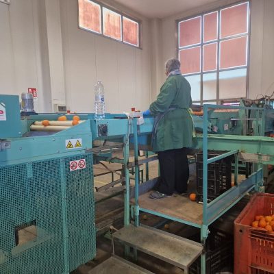 WhatsApp Image 2025-03-25 at 22.49.42 (1)