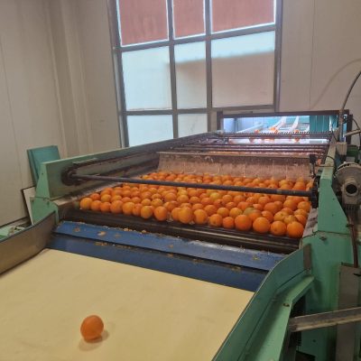 WhatsApp Image 2025-03-25 at 22.49.42 (2)