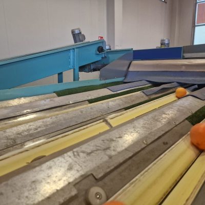 WhatsApp Image 2025-03-25 at 22.49.44