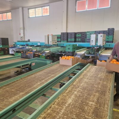 WhatsApp Image 2025-03-25 at 22.49.46 (1)