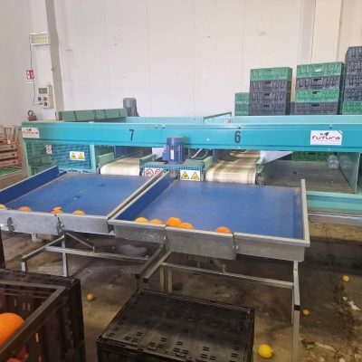 WhatsApp Image 2025-03-25 at 22.49.46 (2)