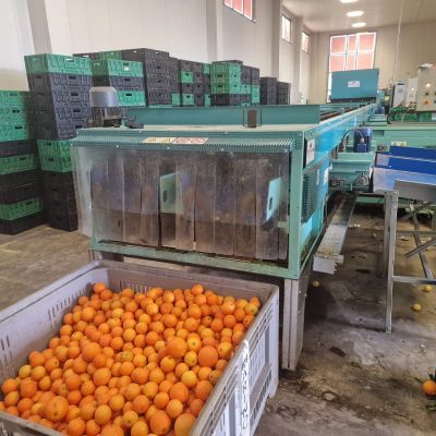 WhatsApp Image 2025-03-25 at 22.49.46 (3)