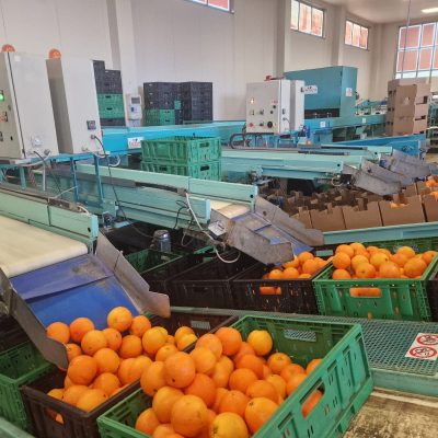 WhatsApp Image 2025-03-25 at 22.49.46