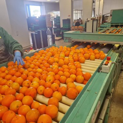 WhatsApp Image 2025-03-25 at 22.49.47 (3)