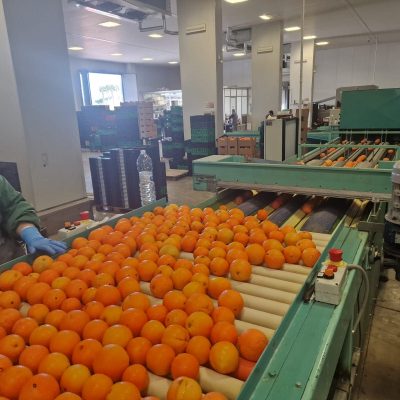 WhatsApp Image 2025-03-25 at 22.49.47 (5)