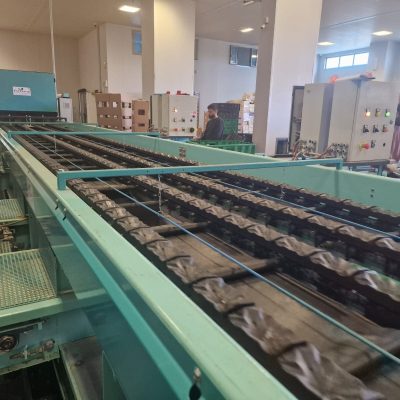 WhatsApp Image 2025-03-25 at 22.49.47