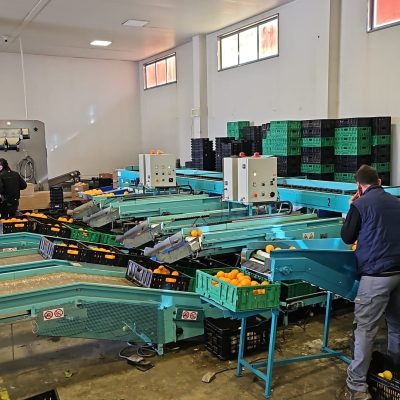 WhatsApp Image 2025-03-25 at 22.49.48 (1)