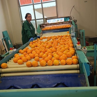 WhatsApp Image 2025-03-25 at 22.49.48 (3)