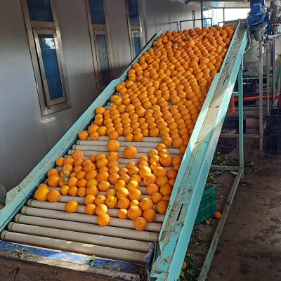 WhatsApp Image 2025-03-25 at 22.49.48 (4)