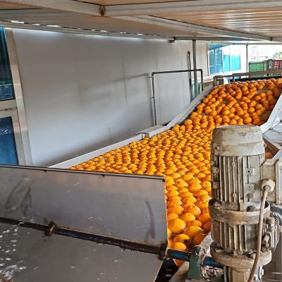 WhatsApp Image 2025-03-25 at 22.49.48 (5)