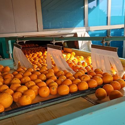 WhatsApp Image 2025-03-25 at 22.49.49 (1)