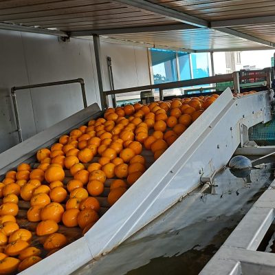 WhatsApp Image 2025-03-25 at 22.49.49