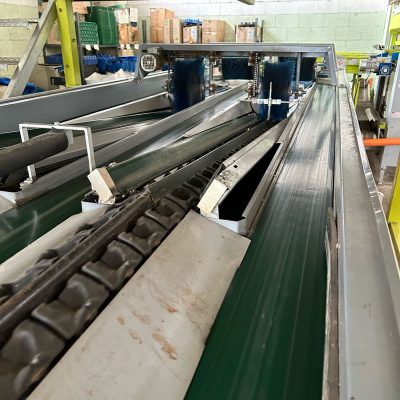 WhatsApp Image 2025-04-01 at 17.41.29