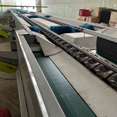 WhatsApp Image 2025-04-01 at 17.41.30