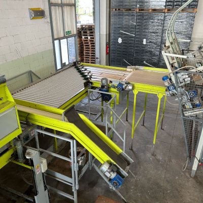 WhatsApp Image 2025-04-01 at 17.41.32 (1)