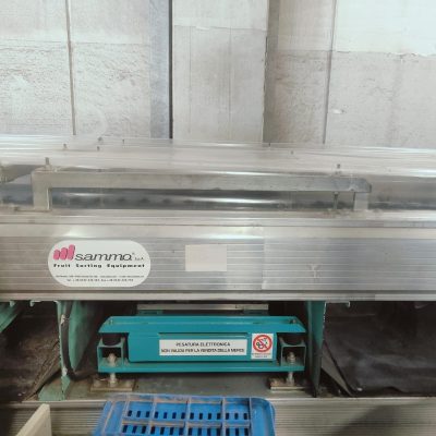 WhatsApp Image 2025-04-01 at 17.42.17