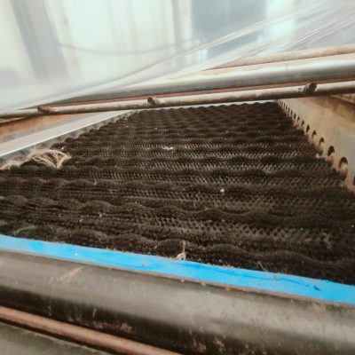 WhatsApp Image 2025-04-01 at 17.42.20 (1)