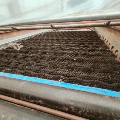 WhatsApp Image 2025-04-01 at 17.42.20 (3)