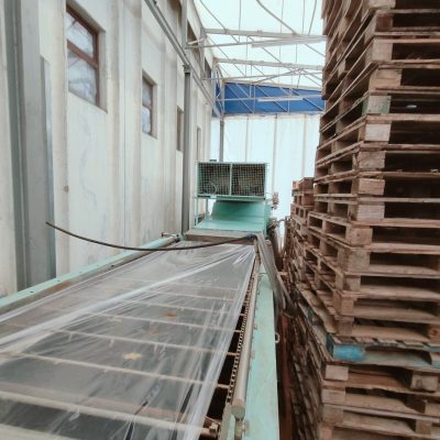 WhatsApp Image 2025-04-01 at 17.42.20