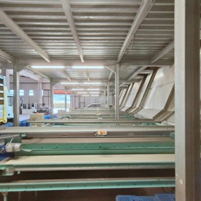 WhatsApp Image 2025-04-01 at 17.42.22 (2)