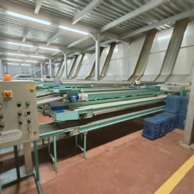 WhatsApp Image 2025-04-01 at 17.42.23 (3)