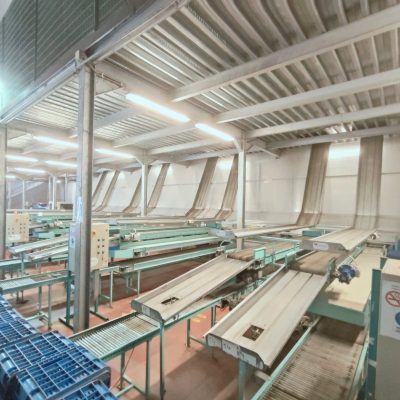 WhatsApp Image 2025-04-01 at 17.42.24