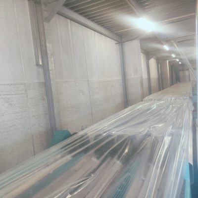 WhatsApp Image 2025-04-01 at 17.42.25 (3)