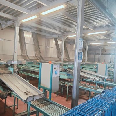 WhatsApp Image 2025-04-01 at 17.42.25