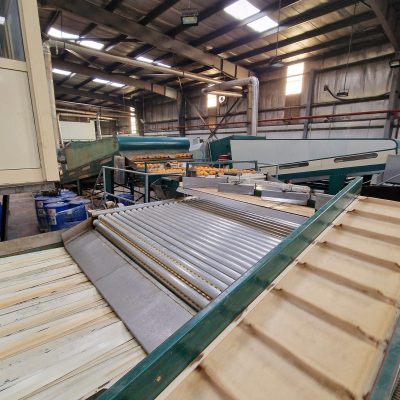 WhatsApp Image 2025-04-25 at 15.00.57