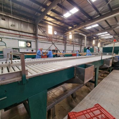 WhatsApp Image 2025-04-25 at 15.00.58 (1)