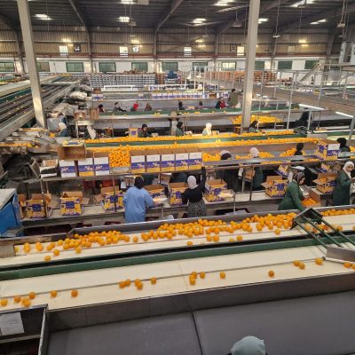 WhatsApp Image 2025-04-25 at 15.00.58 (2)