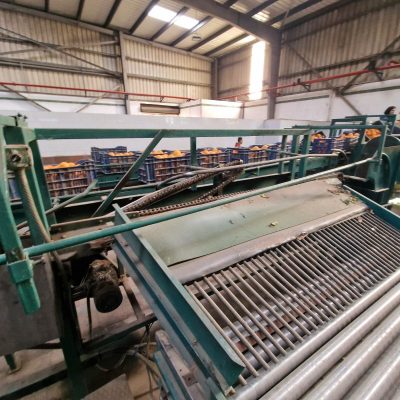 WhatsApp Image 2025-04-25 at 15.01.00 (1)