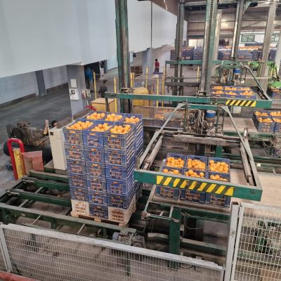 WhatsApp Image 2025-04-25 at 15.01.00 (2)